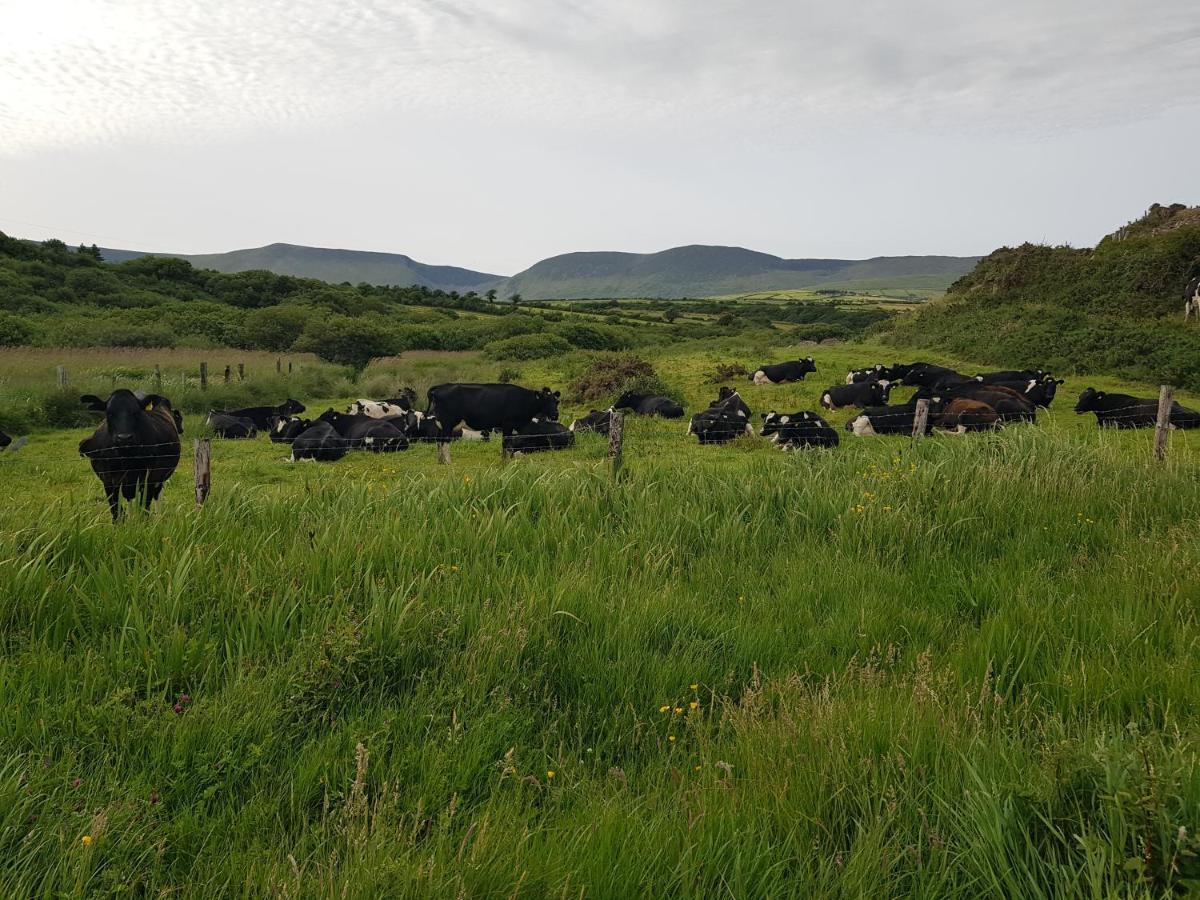 Traditional Irish Farmhouse Anascaul Buitenkant foto